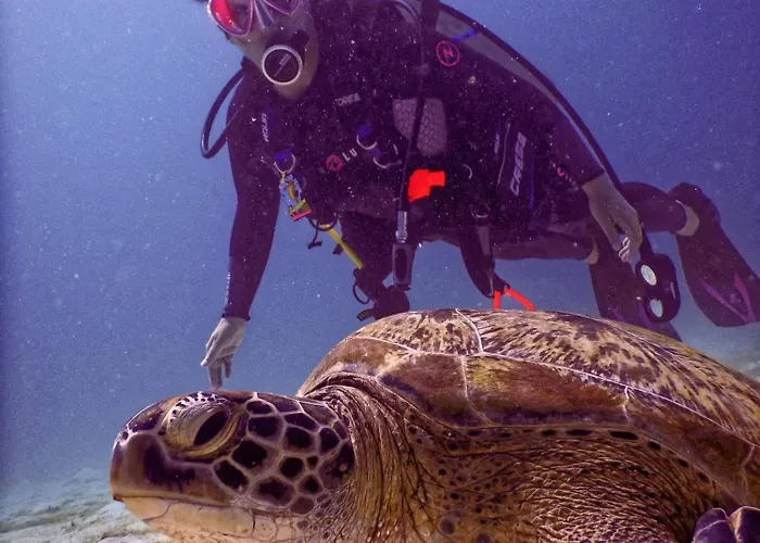 La Perla House Holiday home *