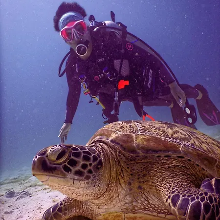 La Perla House Casa vacanze *